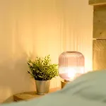 Boshuisje Dille Te Veluwe Chalet *