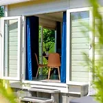 Boshuisje Dille Te Veluwe Chalet Putten