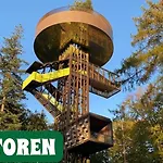 Boshuisje Dille Te Veluwe Putten