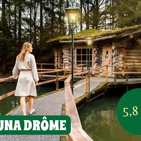 Boshuisje Dille Te Veluwe Putten