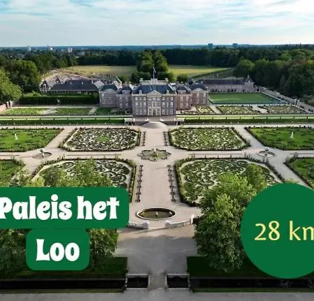 Chalet Boshuisje Dille Te Veluwe Putten