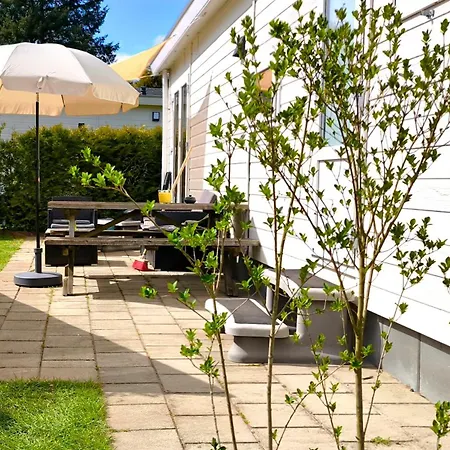 Boshuisje Dille Te Veluwe Chalet Putten